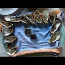 Man gönnt sich ja sonst nichts.